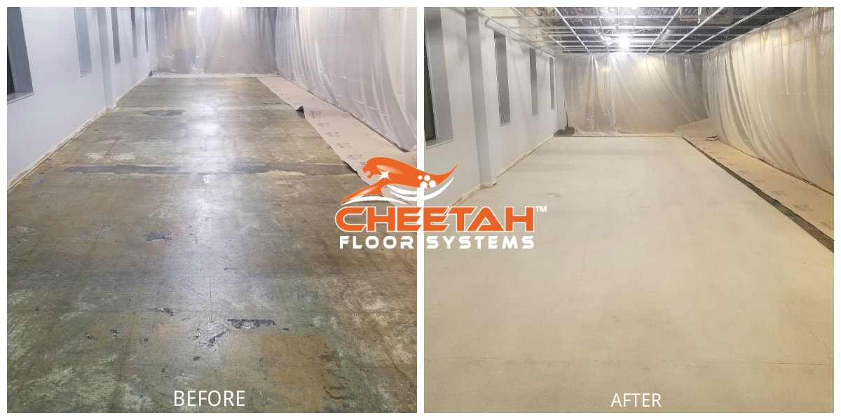 Commercial Carpet Glue Removal in Cleveland, Ohio