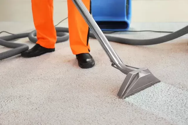 Strongsville Carpet Cleaning Service - Cheetah Floor Systems, Inc.