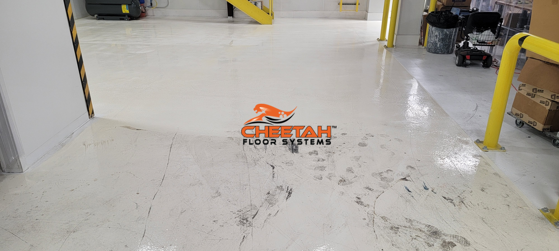 Commercial Epoxy Floor Cleaning in Cleveland, OH - Cheetah Floor Systems, Inc.