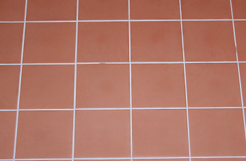 Quarry Tile Cleaning Service